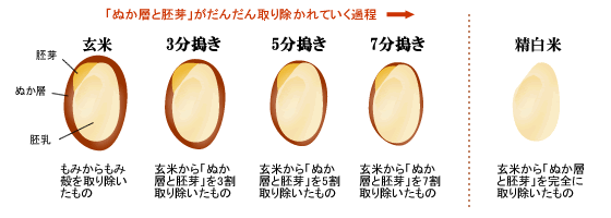 分つき米