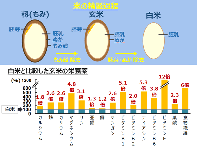 玄米と白米の違い