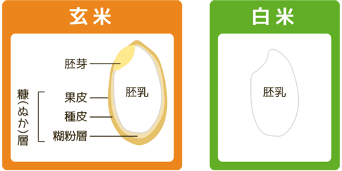 白米・玄米違い